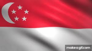 Meet trendy effects, filters, and stickers that are updated every day! Singapore Flag Waving Animated Using Mir Plug In After Effects Free Motion Graphics On Make A Gif