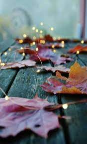 Pin By Rita On Wallpapers Fall Wallpaper Fall Wallpaper Tumblr Iphone Wallpaper Fall