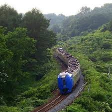 じゅん on instagram 北海道 鉄道 ｊｒ北海道 室蘭本線 スーパー北斗 キハ281 森林 ig jappan ig hokkaido instagramjapan ig trainspotting jj transportation train train travel instagram