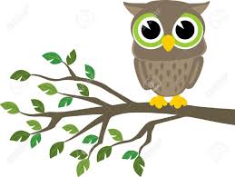 Bird Sitting On Branch Drawing Easy Owl Sitting On Branch Drawing Google Search Hibou Clipart Hibou Dessin Dessin Chouette