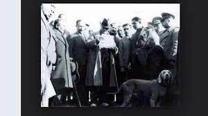 gazi mustafa kemal ataturk un weimaraner irk dernegi facebook