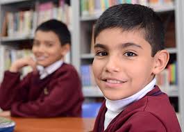 Acceda al portal del sri y consulte el valor de la matrícula. Inicio Portal Matriculas Secretaria De Educacion Del Distrito