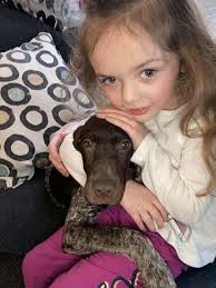 Today we collected our first GSP, Jäger. Wish us luck . I'll be following  this page for tips!! 💚