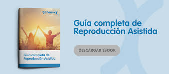 Cuanto Tarda En Implantarse El Embrion Despues De La Transferencia