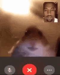 We did not find results for: Best Hamster Facetime Gifs Gfycat