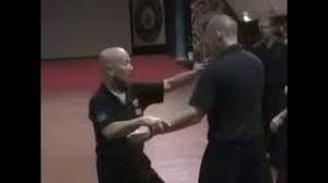 Kp016 praying mantis kung fu by h. Praying Mantis Kung Fu Black Belt Wiki