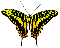 Shown above is a black and white silhouette illustration of a lovely large butterfly! Butterfly Clipart