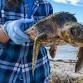 Sea Turtle Patrol event image