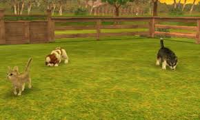 Play in bark mode with someone who has nintendogs: Nintendogs Cats Pocket Gamer