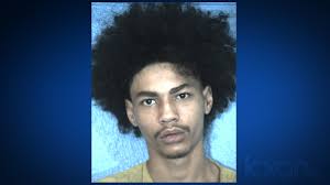 Arrest made in burglaries at Hutto gun shop