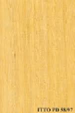 Image result for Celtis mildbraedii