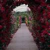 If you're in search of the best flower garden backgrounds, you've come to the right place. Https Encrypted Tbn0 Gstatic Com Images Q Tbn And9gcsva4xby5142gosigxvdlqf Lr3xqpcnom7o62guzaqigmfueq6 Usqp Cau