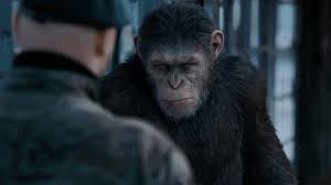 War for the Planet of the Apes' Review: a Fitting End to a Brilliant,  Strange, Emotional Trilogy | GQ