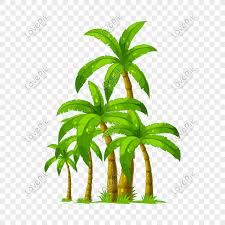 hand drawn vector coconut tree png image picture free download 401148738 lovepik com hand drawn vector coconut tree png