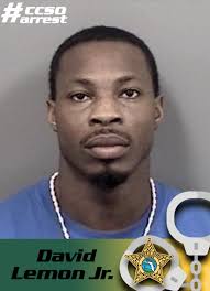 David Lemon, Jr., 26, of Crystal River, charged with premeditated murder