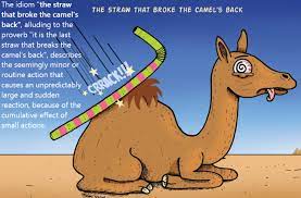 The jam that broke the camel's back. English Stuff The Straw That Breaks Broke The Camel S Back The Last In A Series Of Bad Things That Happen To Make Someone Very Upset Angry Etc It Had Been A