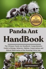 Image result for panda ant