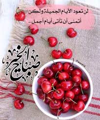 Pin By Teraza Fawzy On اقوال وصباحات Fruit Food Cherry