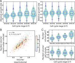 Maybe you would like to learn more about one of these? Cell Size And Growth Regulation In The Arabidopsis Thaliana Apical Stem Cell Niche Pnas
