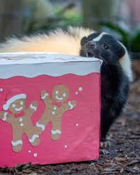 Naples Zoo at Caribbean...