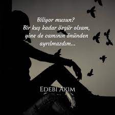 biliyor musun bir kus kadar ozgur olsam yine de caminin onunden ayrilmazdim ilham verici sozler bff sozleri guzel soz