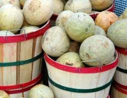 Cantaloupe Lot Free Image Peakpx