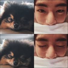 Pin De Serenay Coker Em Kim Yeontan Taehyung Vkook Animais
