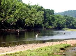 Find marina reviews, phone number, boat and yacht docks, slips, and moorings for rent at buzzard roost boat dock. Area Info Peglar Real Estate Group Mountain Home Ar