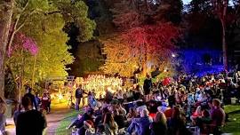 Carols by Torchlight at Araluen
