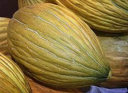 14.71% more iron per 100g? Melon Wikiwand