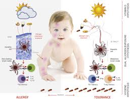 Not only do they get to open up a bag or box filled with food, but they also get a little piece of home. Prevention Of Food Allergy Journal Of Allergy And Clinical Immunology