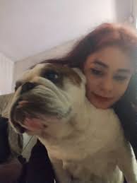 remembering pet after passing away