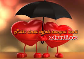 Pin Di Whandi Net