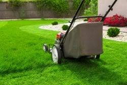 From scheduled lawn care maintenance service to seasonal lawn care services, our company has the experience and equipment needed to tackle residential yards and commercial lots large or small. Commercial Lawn Care Service Chesapeake Good N Green