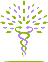 A chaque instant, des acides sont métabolisés par notre corps. Naturopathie Quels Sont Les Aliments Acides Acidifiants Alcalins Ou Basiques