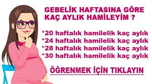 gebelik haftasi hesaplamasinda son adet tarihinin ilk gunu baz alinir ve buna istinaden gebelik haftasi hesaplanir hamilelik yenidogan bakimi gebelik donemi
