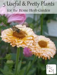 We did not find results for: 5 Useful And Pretty Plants