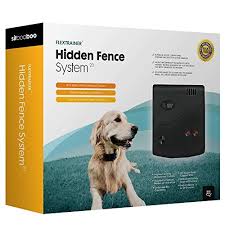 Electric dog fence, wireless and wire dog fences pet. The 10 Best Electric Dog Fences Of 2021