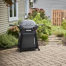 Image result for weber q200
