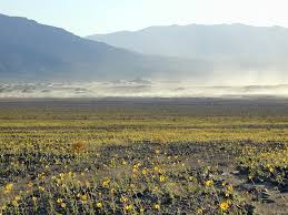Be warned that there are spoilers! What Is The Best Season To Visit Death Valley National Park U S National Park Service