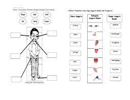 video edukasi anak video anak. Anggota Badan