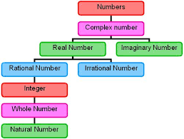 These two states are represented by 1 and 0. Number System Conversion Binary Octal And Hexadecimal Notes Videos Qa And Tests Grade 11 Computer Science Number System And Their Conversion Kullabs