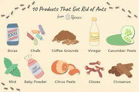 Wiping up ants' chemical trail using soapy water or vinegar mixed with a water solution. How To Get Rid Of Ants Cheaply And Naturally