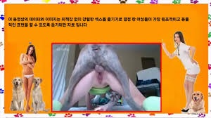 수간주의) 개와 성관계를 가지고싶은 여성들을 위한 가이드 번역 > 딸감 자유게시판 | 헬븐넷