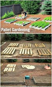 How To Build A Pallet Vegetable Garden 30 Diy Pallet Garden Projects To Update Your Gardens Diy Crafts Palette Garden Garden Projects Pallets Garden