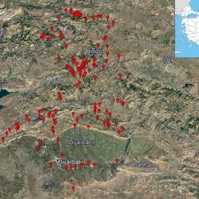 Image result for Triaspis dumeticola