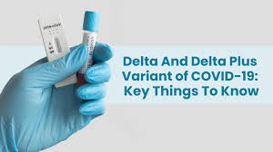 Spike proteinsare external bumps the virus uses to hook onto human. What Is The Delta And Delta Plus Variant Of Covid 19 Is It Becoming The Dominant Variant Worldwide Hetero Healthcare