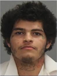 Brazos County murderer sentenced to life in prison