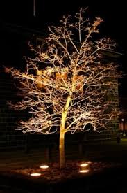 Outdoor Landscape Lighting Ideas Lovetoknow