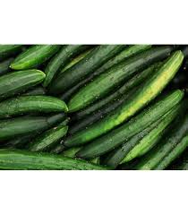 Image result for Cucumis cinereus